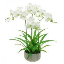 Itens Orquídeas artificiais flores artificiais em vaso branco 60cm