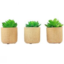 Itens Suculentas Artificiais em Vaso Plantas Artificiais Sortidas 10cm 3pcs