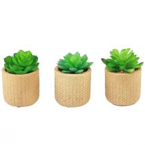 Itens Suculentas Artificiais em Vaso Plantas Artificiais Sortidas 10cm 3pcs