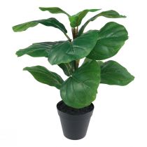 Itens Planta artificial em vaso Ficus planta artificial em vaso 42cm