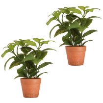 Itens Manjericão artificial em vaso Vaso de ervas Planta artificial 22cm 2 unidades
