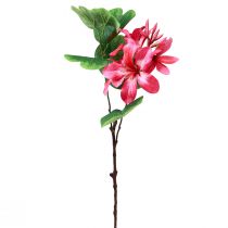 Ramo de orquídea artificial Bauhinia Rosa planta artificial 62cm