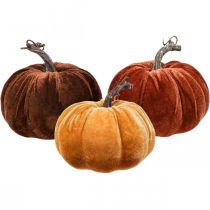 Abóbora Deco Outono Laranja Marrom Flotado Ø12cm 3pcs