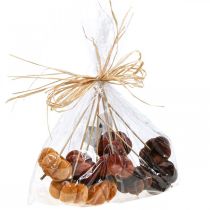 Itens Plugue decorativo de abóbora laranja, marrom macio Ø6,5m 9 un