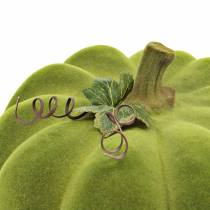 Abóbora decorativa flocada verde musgo 32cm