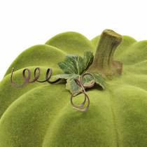 Itens Abóbora decorativa flocada verde musgo 32cm