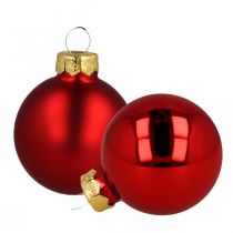 Bolas de natal de vidro vermelho fosco/brilhante Ø4cm 60 peças