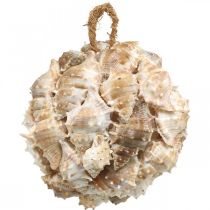 Deco bola conchas de caracol conchas deco pendurado natureza Ø12cm