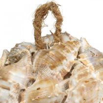 Itens Bola decorativa conchas de caracol conchas decoração pendurada natural Ø12cm