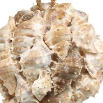 Itens Bola decorativa conchas de caracol conchas decoração pendurada natural Ø12cm