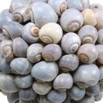 Caracóis do mar bola Deco grande decoração marítima para pendurar Ø25cm