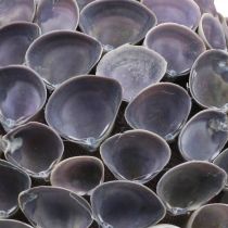 Itens Bola de conchas Decoração marítima com conchas Bola Deco violeta Ø12cm