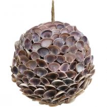 Conchas de bola Deco Decoração de concha para pendurar decoração marítima Ø18cm