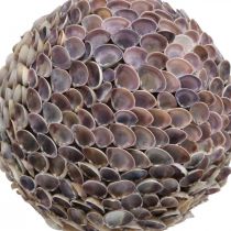 Itens Deco ball shells shell ball grande decoração marítima Ø25cm