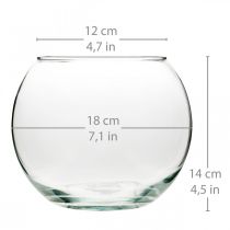 Itens Vaso de bola vaso de vidro transparente vaso de mesa redondo vaso de flores Ø18cm Alt.14cm