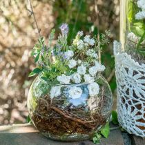 Vaso bola vaso de flores de vidro redondo decoração de vidro A10cm Ø11cm