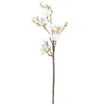 Itens Flor artificial Magnolia Branch Blossoms Ø2–10cm Creme L105cm