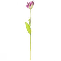 Itens Flor artificial papagaio tulipa artificial decorativa tulipa roxa 63cm