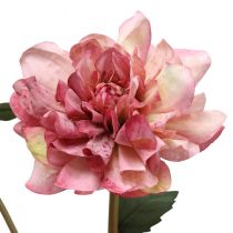 Flor artificial dália flor rosa com botão H57cm