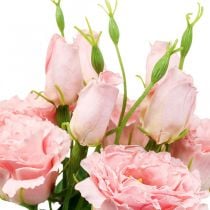 Flores artificiais Lisianthus rosa flores artificiais de seda 50cm 5 unidades