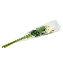 Itens Flores artificiais rosa creme Ø6cm C50cm 6pcs