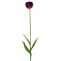 Flores artificiais tulipas roxo-verde 84 cm - 85 cm 3 unidades