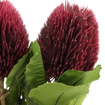 Flores artificiais, Banksia, Proteaceae vinho tinto L58cm H6cm 3pcs