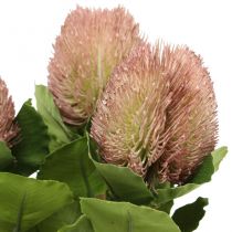 Flores Artificiais, Banksia, Proteaceae Branco-Roxo L58cm A6cm