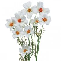 Itens Flores artificiais Cosmea flores de seda branca H51cm 3 unidades
