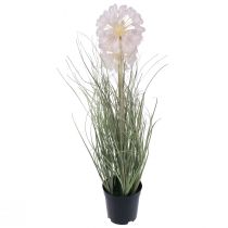 Itens Flores artificiais decorativas bola flor allium cebola ornamental artificial 54cm
