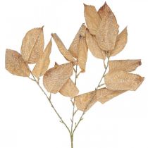 Itens Folhas de ramos de decoração de outono de plantas artificiais lavadas em branco L70cm