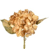 Itens Hortênsia artificial seca decoração de outono Drylook L33cm