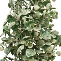 Guirlanda de buxo artificial verde branco lavado L148cm