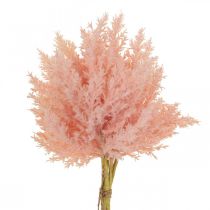Itens Astilbe artificial ramos decorativos rosa artificial A38cm 5uds