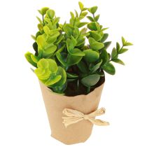 Itens Plantas Artificiais Samambaia Artificial Buxo 15-19cm 4pcs