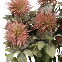 Plantas artificiais cártamo cardo ramo cardo rosa 4 peças