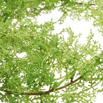 Planta de aspargos de primavera artificial encadernação de ramo verde H108cm