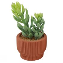 Itens Plantas Artificiais Cacto Suculento Planta Verde Artificial 14,5/15,5cm 2pcs