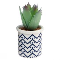 Itens Plantas artificiais suculentas planta verde artificial 9-12,5 cm 4 unidades