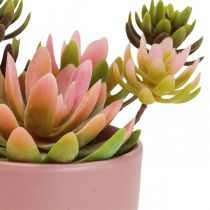 Plantas artificiais em vasos suculentas artificiais H13cm 3uds