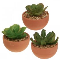 Plantas artificiais em vasos suculentas artificiais H9cm 3uds