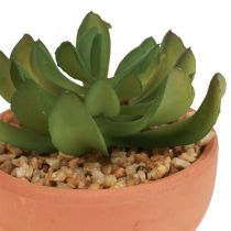 Plantas artificiais em vasos suculentas artificiais H9cm 3uds