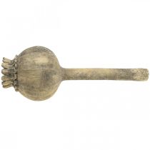 Itens Decoração pedra artificial papoila decoração antiga castanho Ø13cm L37.5cm