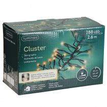 Itens Cluster de corrente de luz LED para interior e exterior 288 LED 260cm