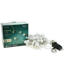 Itens Corrente leve LED Cherry branco quente 9m 120LED