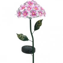 Flor solar, decoração de jardim LED, crisântemo decorativo rosa L55cm Ø15cm