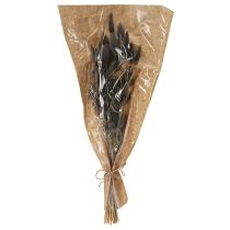Itens Lagurus Capim Rabo de Lebre Seco Cinza 45-55cm 50g