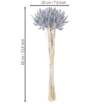 Itens Lagurus seco (rabo-de-lebre) cinza para buquês de flores secas, 60 cm, 75 g