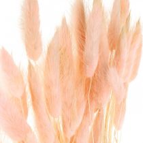 Grama decorativa rosa, Lagurus, decoração natural, floricultura seca L45–50cm 30p
