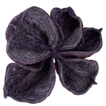 Itens Landlotus Mix Blackberry, Rosa Velho 50 unidades